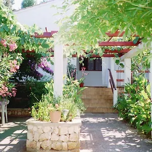 Lovor , Silba Croazia