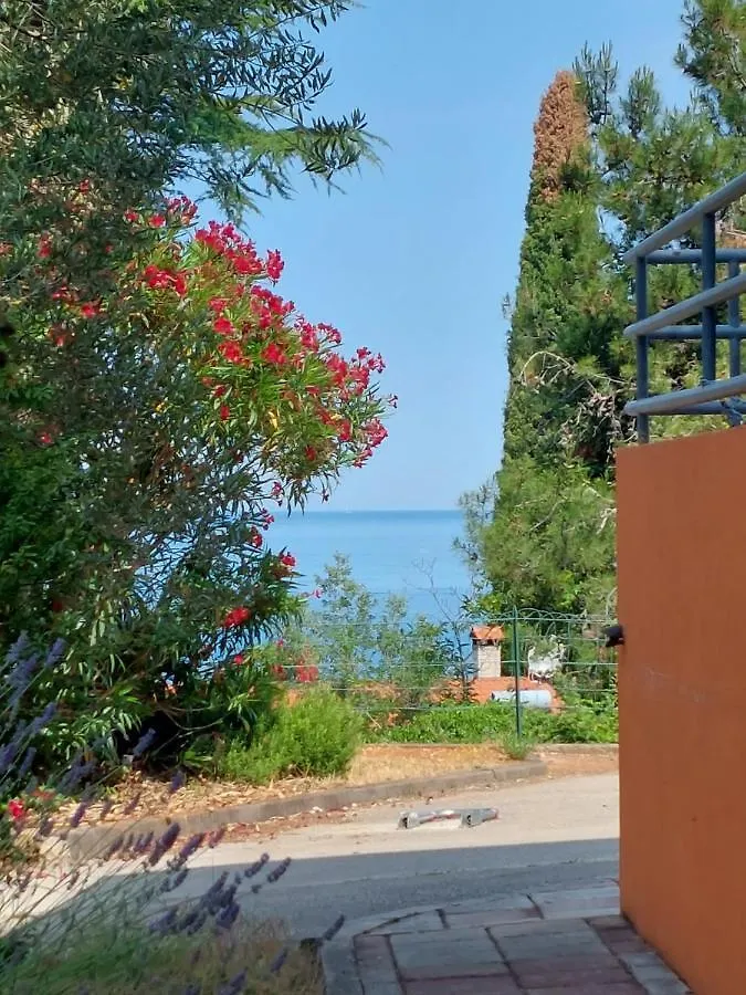 Apartments Henc Novigrad Istria Horvátország
